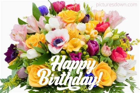 Happy Birthday Blumen Photos and Images